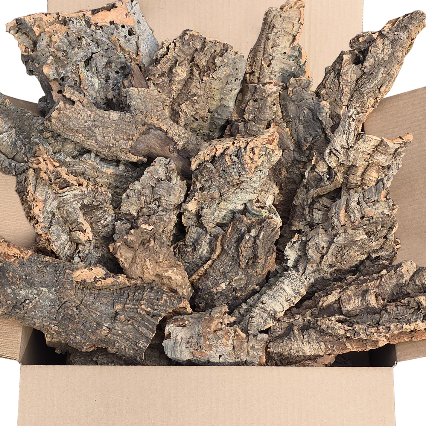 5lb Cork Bark Box