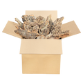 20lb Cork Bark Box