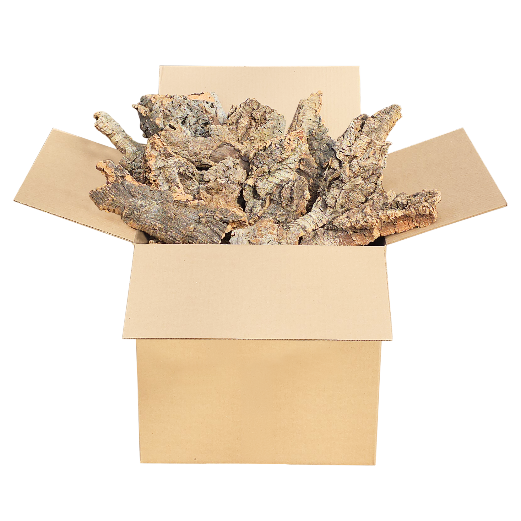 5lb Cork Bark Box