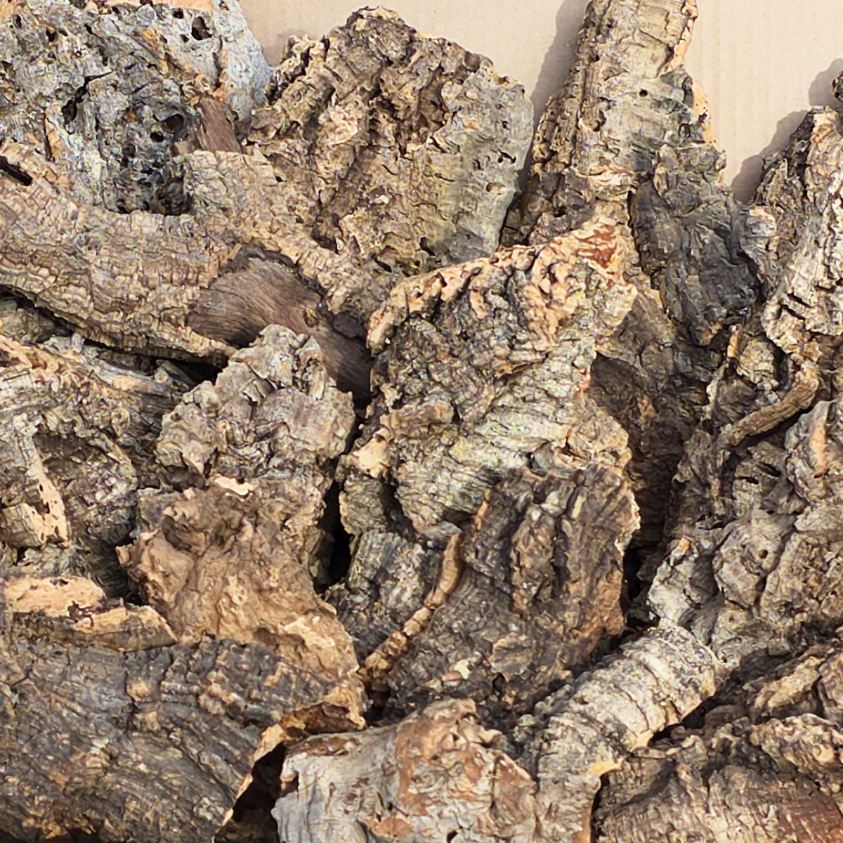 20lb Cork Bark Box